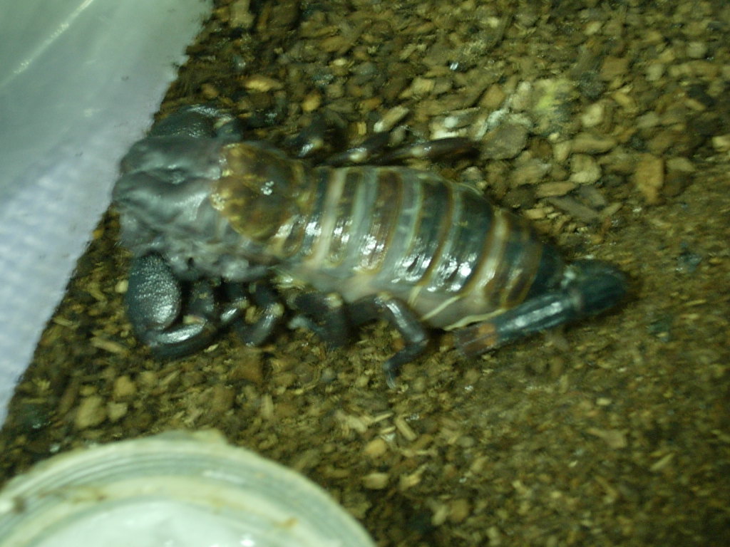 «ö¦¹¦b·sµøµ¡ÂsÄý¹Ï¤ù