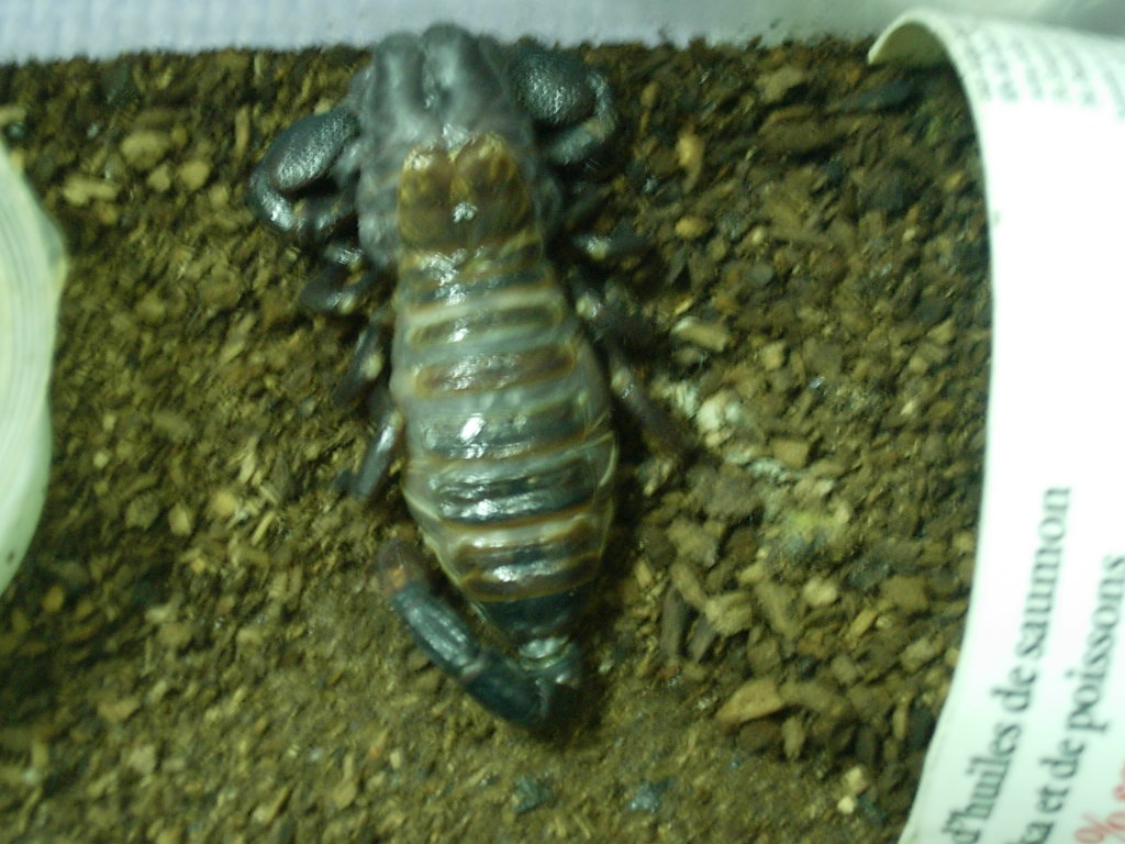 «ö¦¹¦b·sµøµ¡ÂsÄý¹Ï¤ù