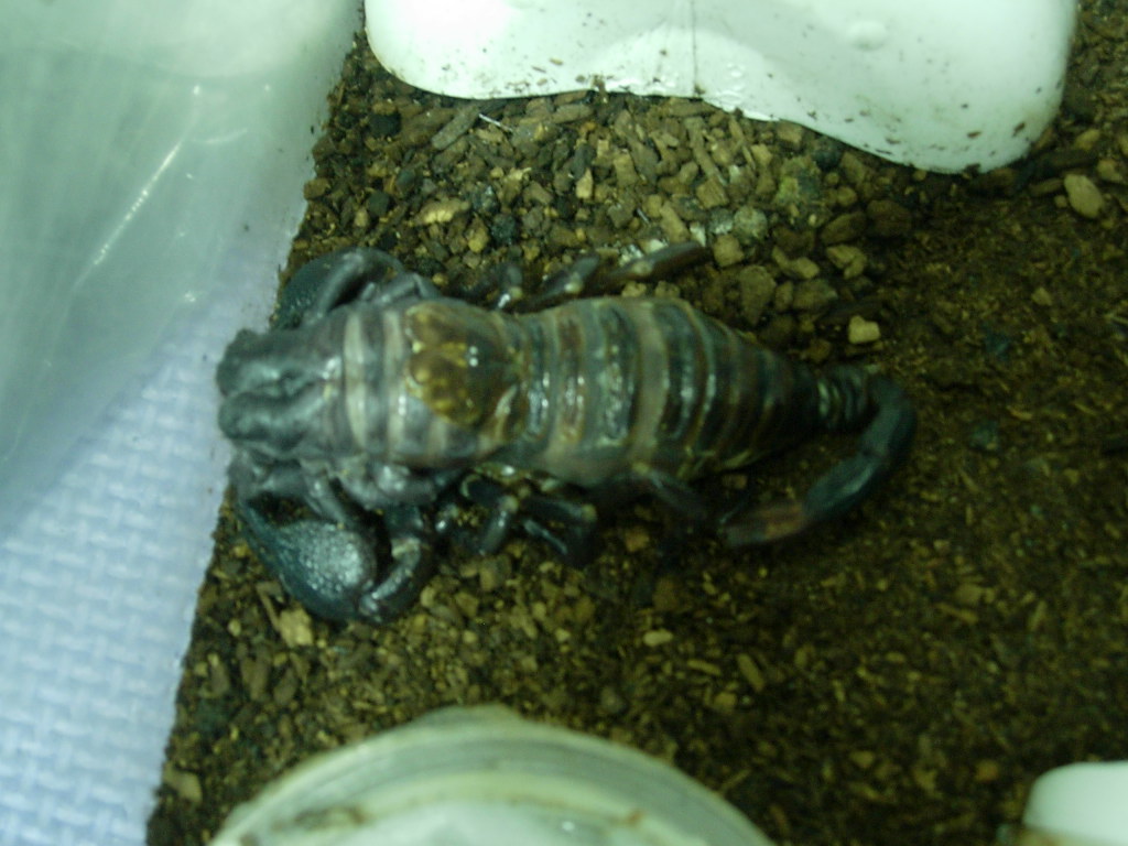 «ö¦¹¦b·sµøµ¡ÂsÄý¹Ï¤ù