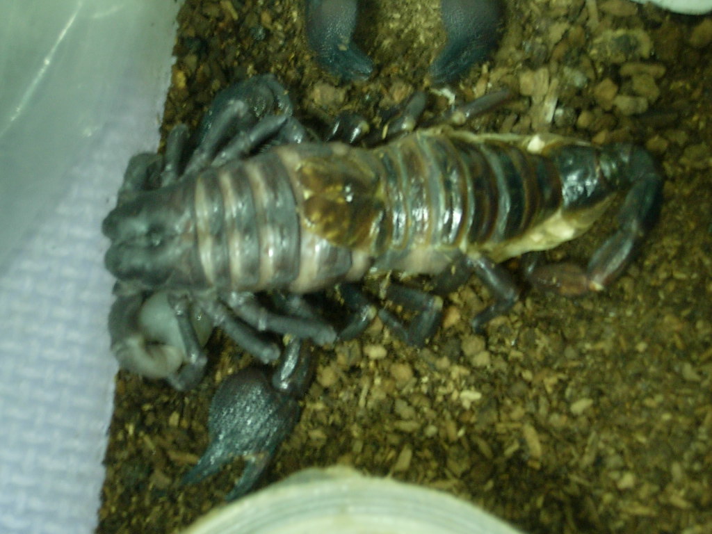 «ö¦¹¦b·sµøµ¡ÂsÄý¹Ï¤ù