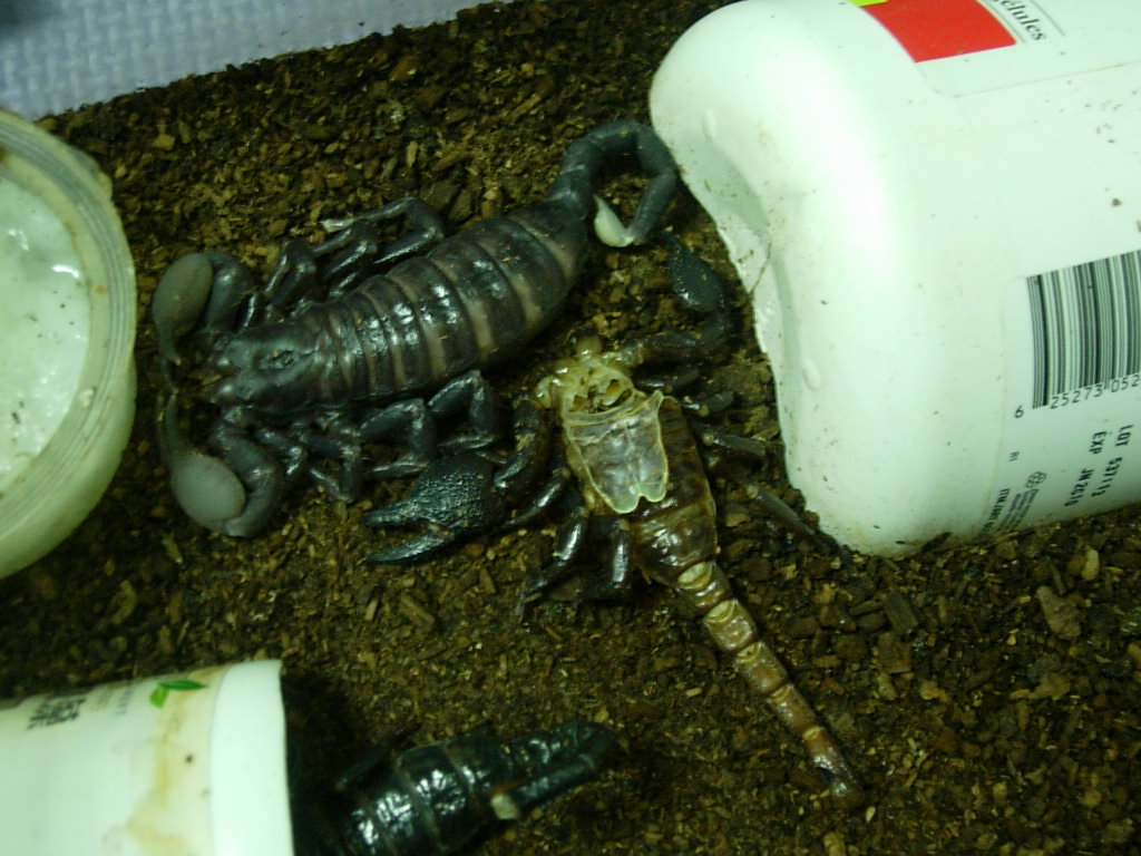 «ö¦¹¦b·sµøµ¡ÂsÄý¹Ï¤ù