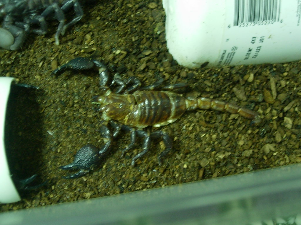 «ö¦¹¦b·sµøµ¡ÂsÄý¹Ï¤ù