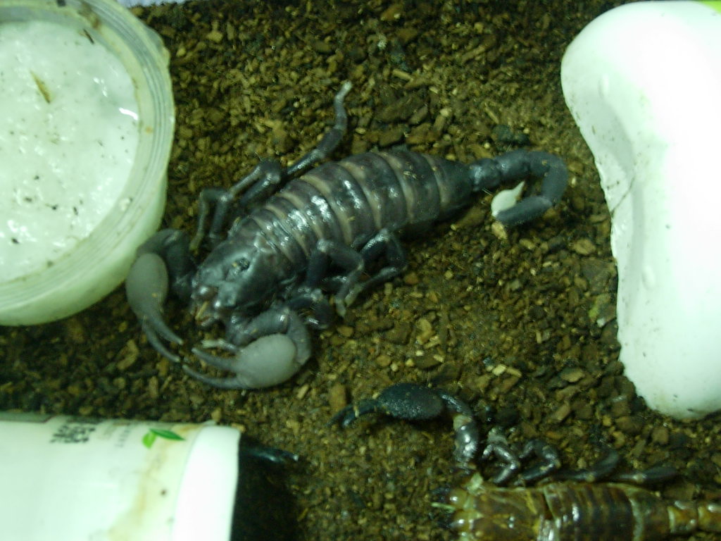 «ö¦¹¦b·sµøµ¡ÂsÄý¹Ï¤ù