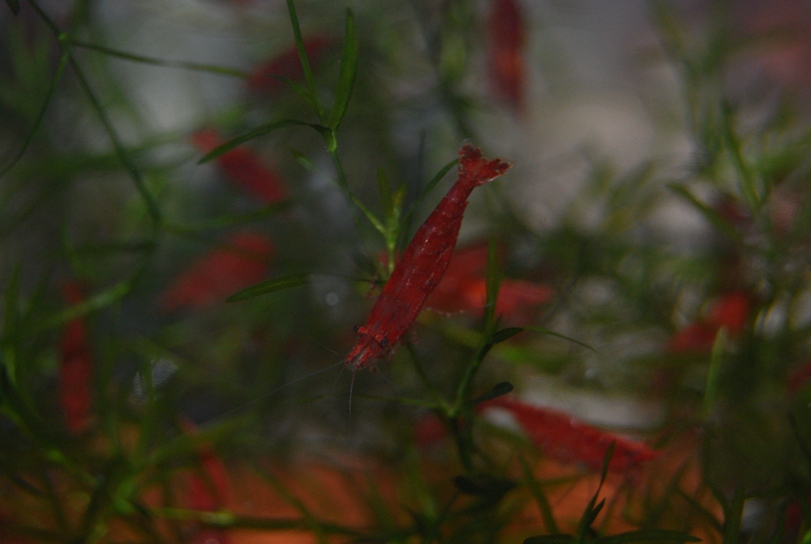 «ö¦¹¦b·sµøµ¡ÂsÄý¹Ï¤ù