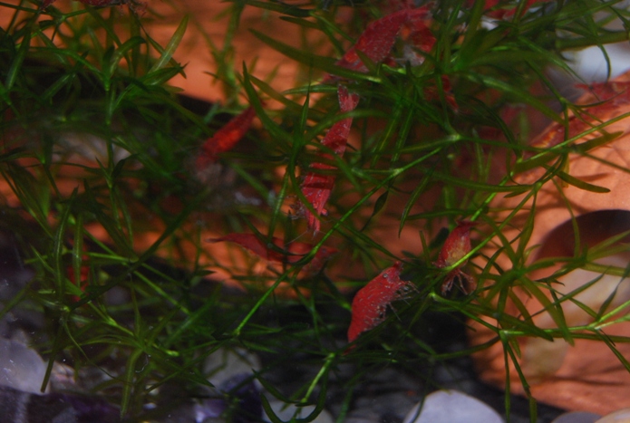 «ö¦¹¦b·sµøµ¡ÂsÄý¹Ï¤ù