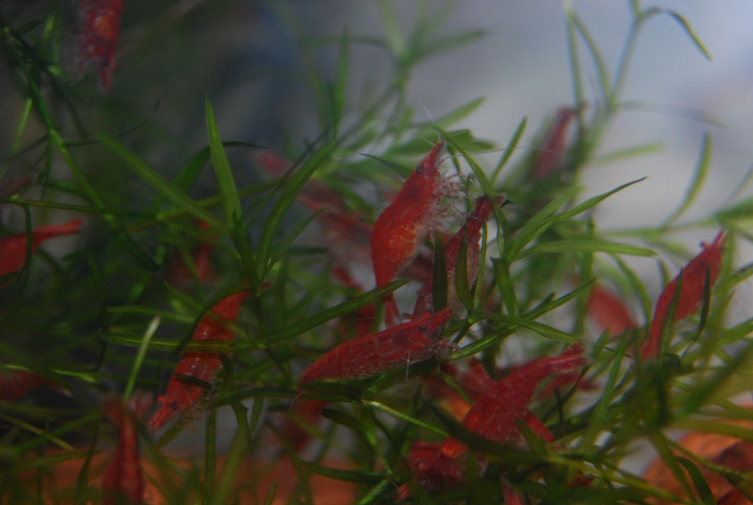 «ö¦¹¦b·sµøµ¡ÂsÄý¹Ï¤ù