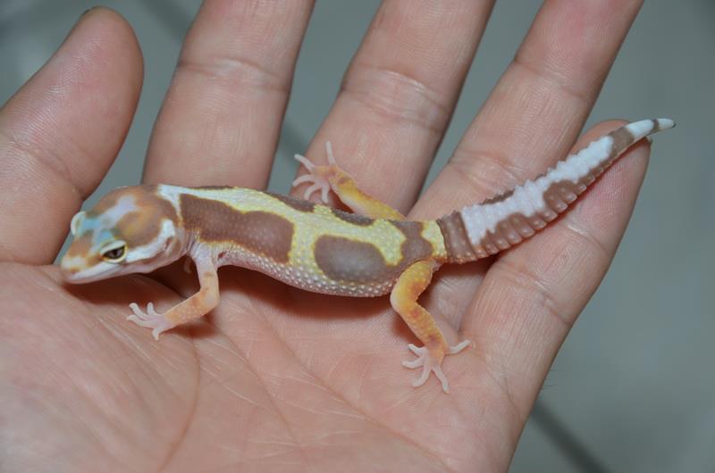 «ö¦¹¦b·sµøµ¡ÂsÄý¹Ï¤ù