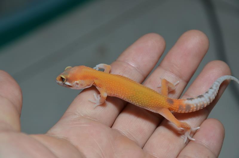 «ö¦¹¦b·sµøµ¡ÂsÄý¹Ï¤ù