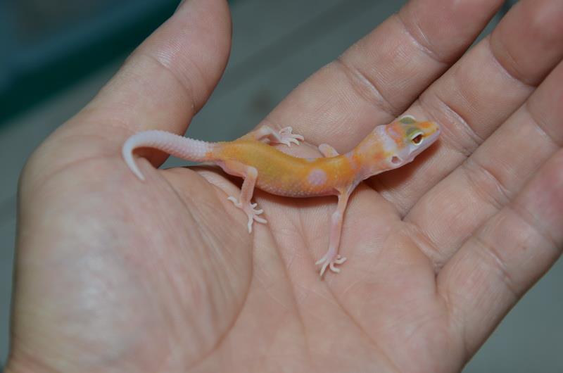 «ö¦¹¦b·sµøµ¡ÂsÄý¹Ï¤ù