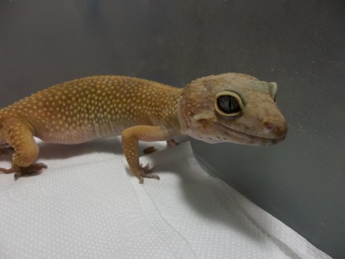 «ö¦¹¦b·sµøµ¡ÂsÄý¹Ï¤ù