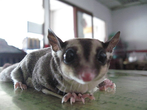 «ö¦¹¦b·sµøµ¡ÂsÄý¹Ï¤ù