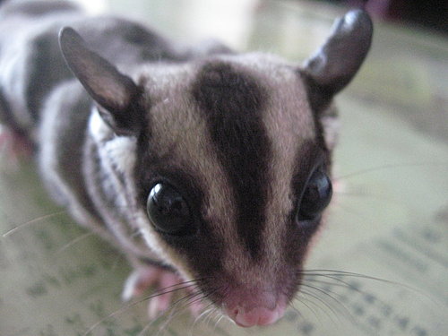 «ö¦¹¦b·sµøµ¡ÂsÄý¹Ï¤ù