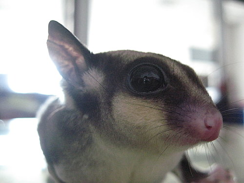 «ö¦¹¦b·sµøµ¡ÂsÄý¹Ï¤ù