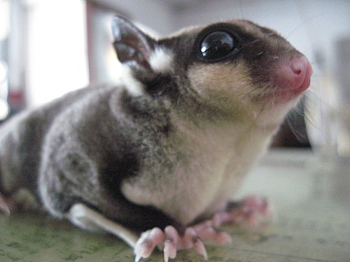 «ö¦¹¦b·sµøµ¡ÂsÄý¹Ï¤ù