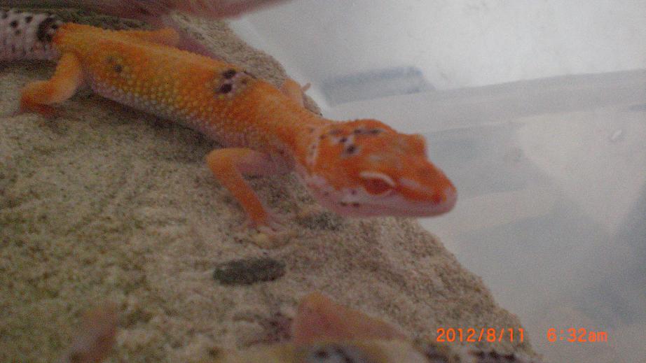 «ö¦¹¦b·sµøµ¡ÂsÄý¹Ï¤ù