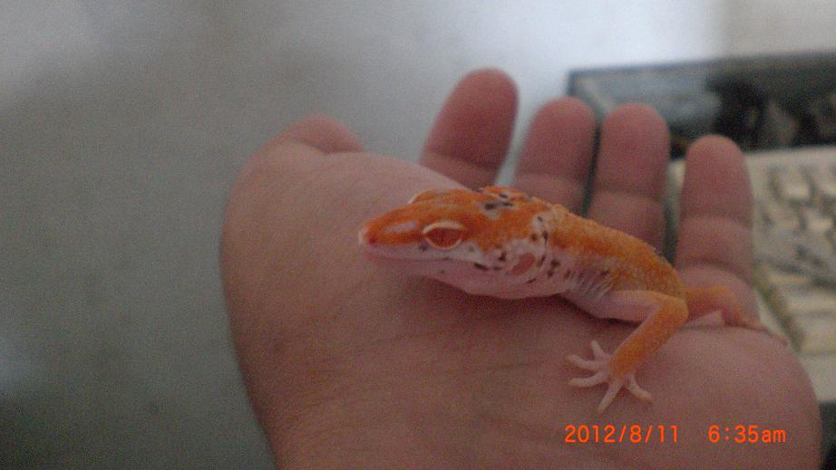 «ö¦¹¦b·sµøµ¡ÂsÄý¹Ï¤ù