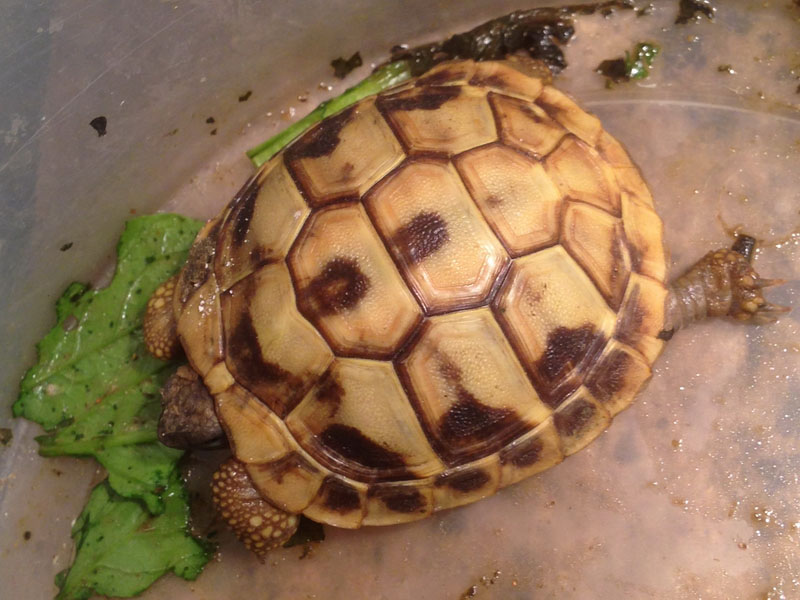 按此在新視窗瀏覽圖片