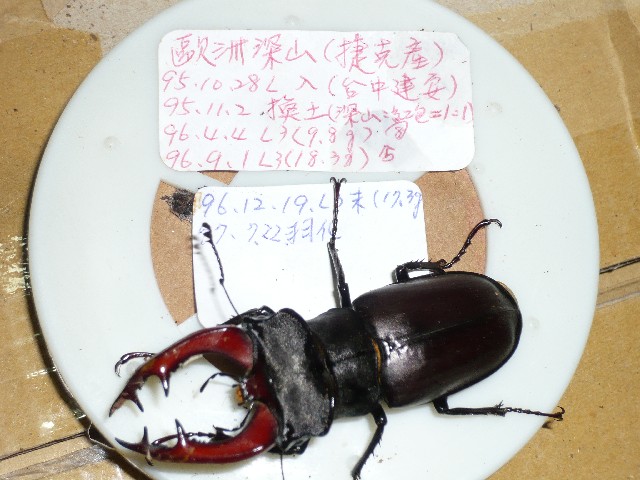 按此在新視窗瀏覽圖片