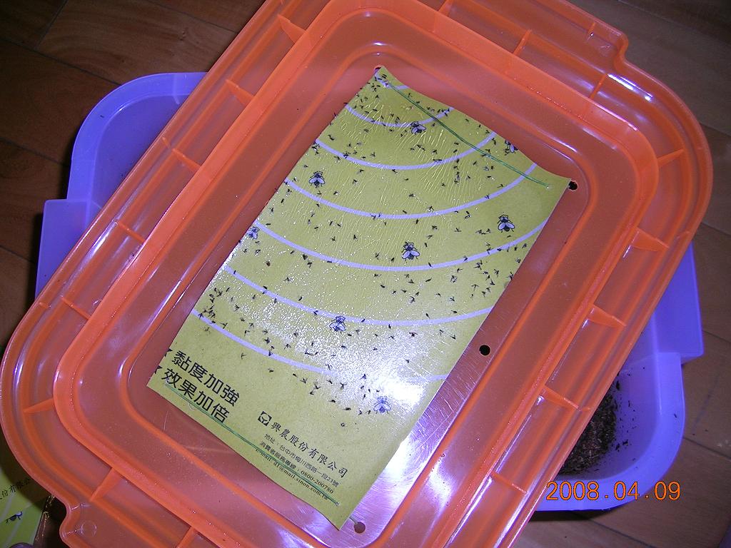 «ö¦¹¦b·sµøµ¡ÂsÄý¹Ï¤ù