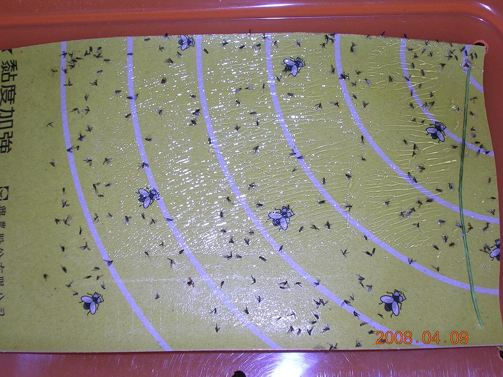 «ö¦¹¦b·sµøµ¡ÂsÄý¹Ï¤ù