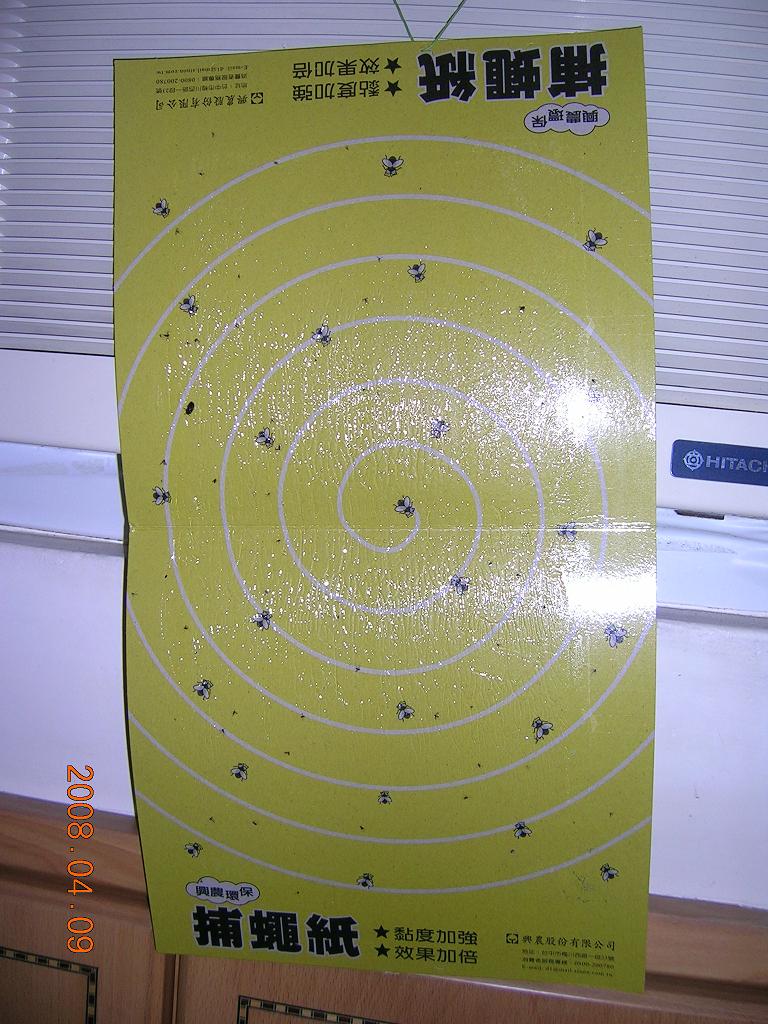 «ö¦¹¦b·sµøµ¡ÂsÄý¹Ï¤ù