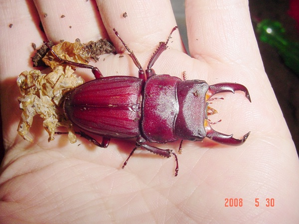 按此在新視窗瀏覽圖片