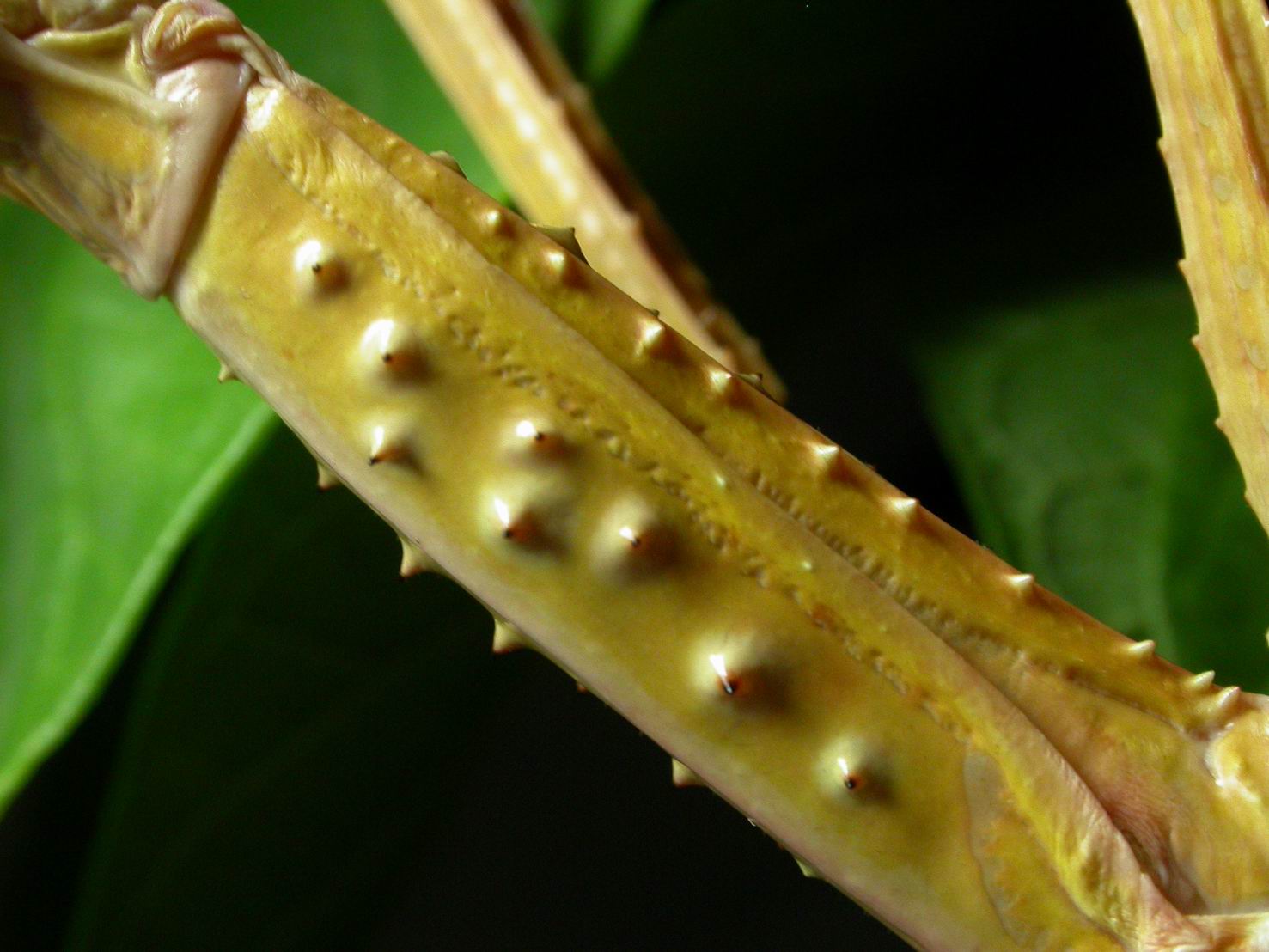 按此在新視窗瀏覽圖片