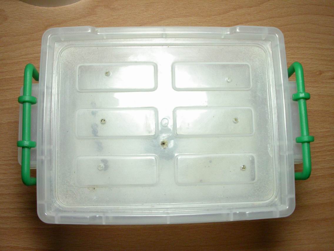 按此在新視窗瀏覽圖片