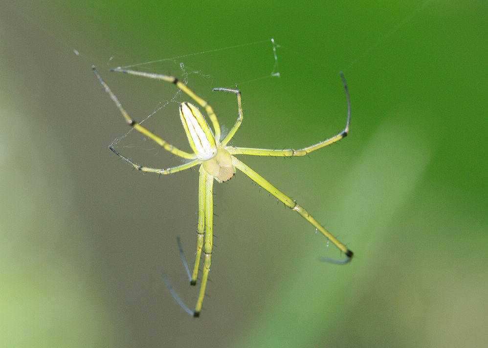 «ö¦¹¦b·sµøµ¡ÂsÄý¹Ï¤ù