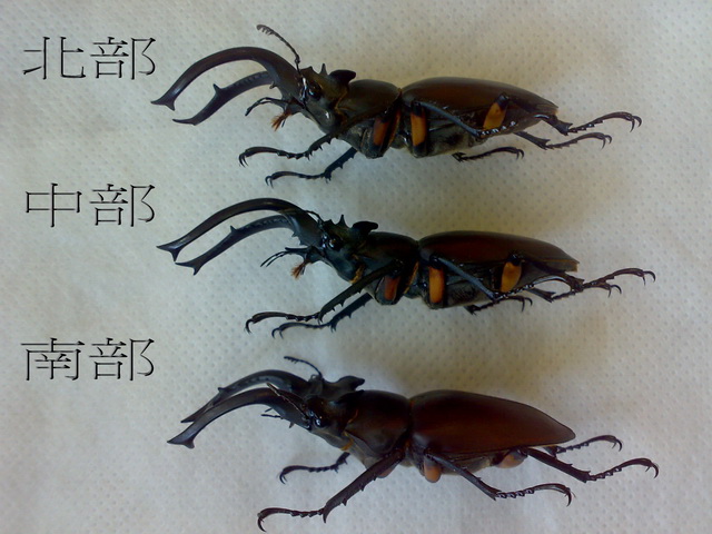 «ö¦¹¦b·sµøµ¡ÂsÄý¹Ï¤ù