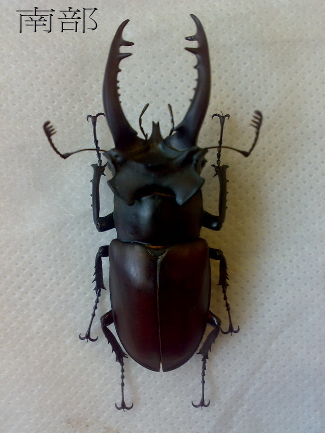 «ö¦¹¦b·sµøµ¡ÂsÄý¹Ï¤ù