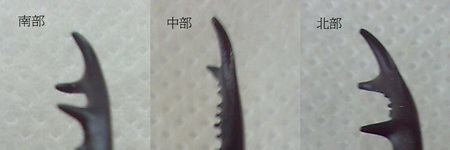 «ö¦¹¦b·sµøµ¡ÂsÄý¹Ï¤ù