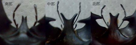 «ö¦¹¦b·sµøµ¡ÂsÄý¹Ï¤ù