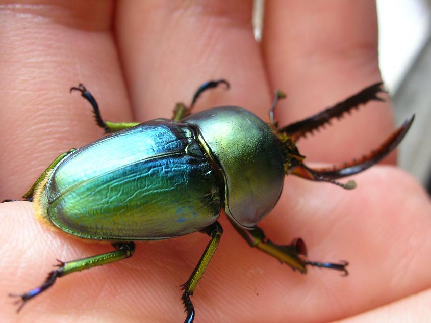 按此在新視窗瀏覽圖片