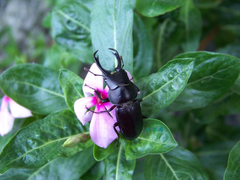 按此在新視窗瀏覽圖片