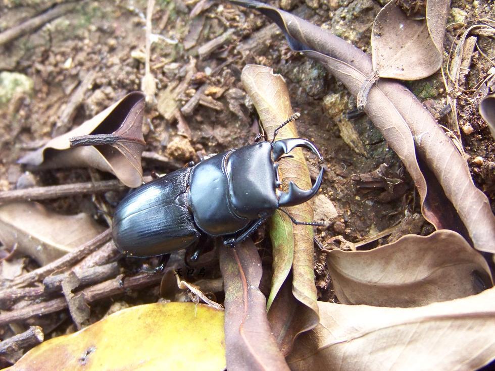 按此在新視窗瀏覽圖片