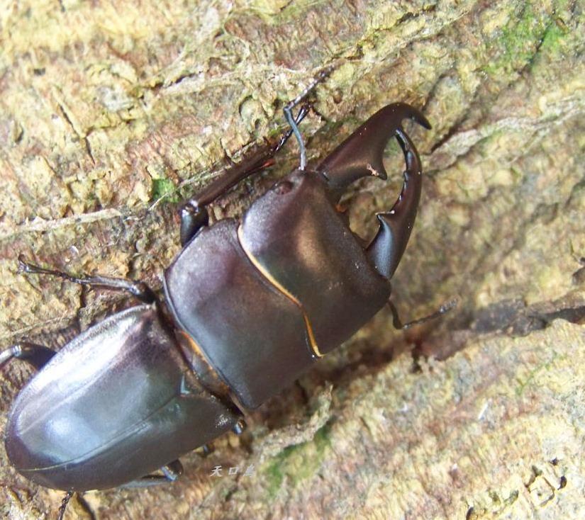 按此在新視窗瀏覽圖片