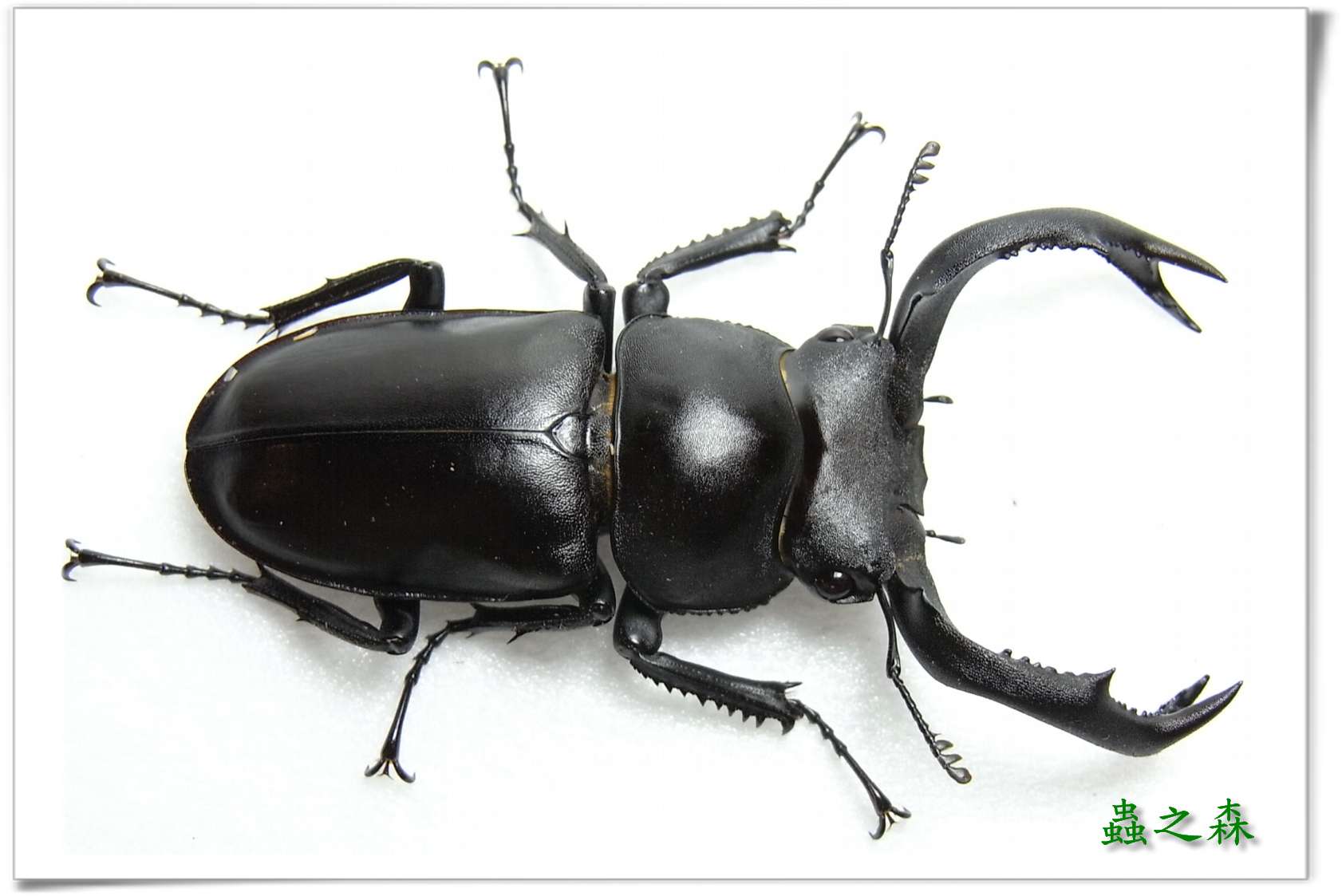 按此在新視窗瀏覽圖片