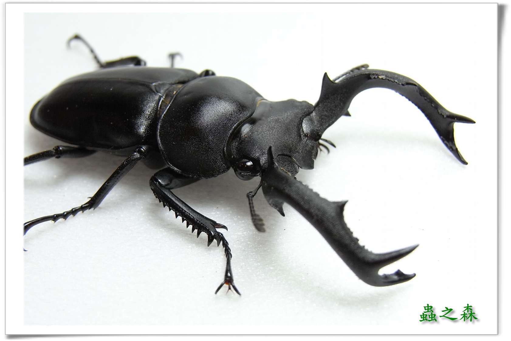 按此在新視窗瀏覽圖片