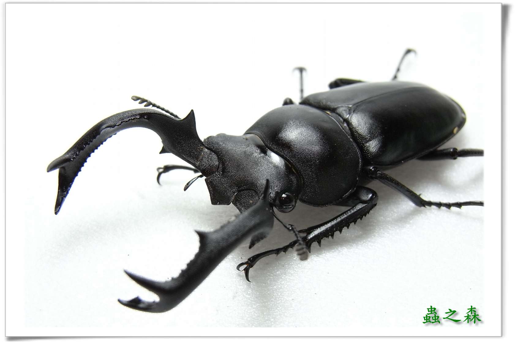 按此在新視窗瀏覽圖片