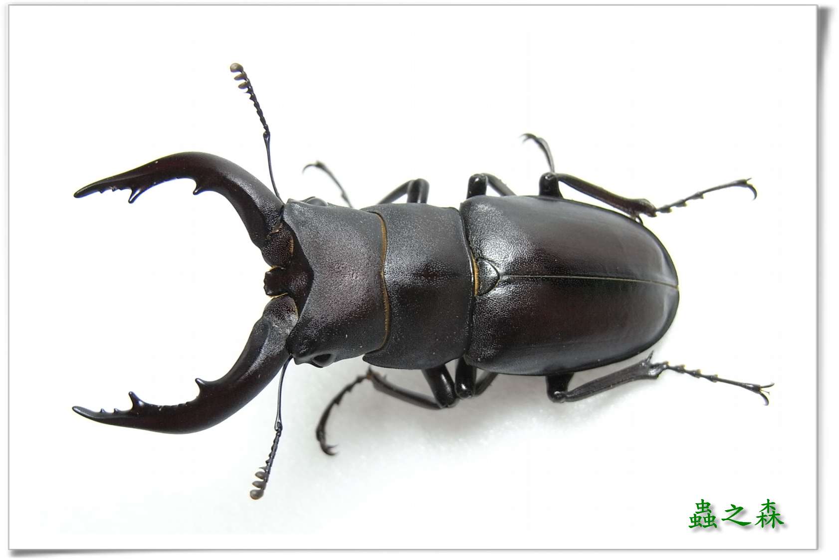 按此在新視窗瀏覽圖片