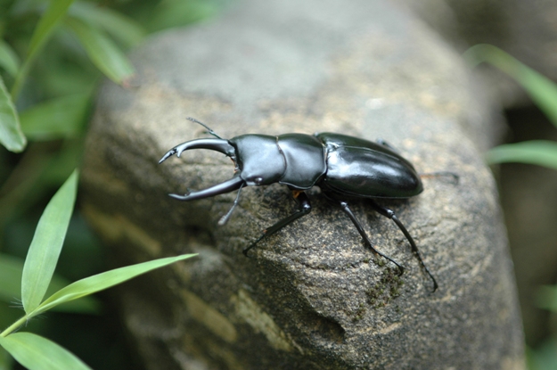 按此在新視窗瀏覽圖片