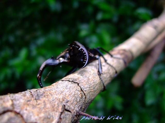 按此在新視窗瀏覽圖片