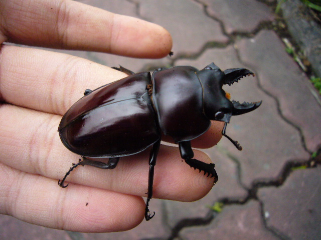 按此在新視窗瀏覽圖片