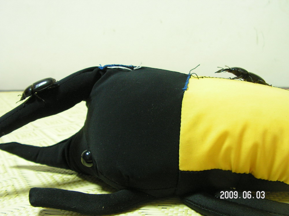 按此在新視窗瀏覽圖片