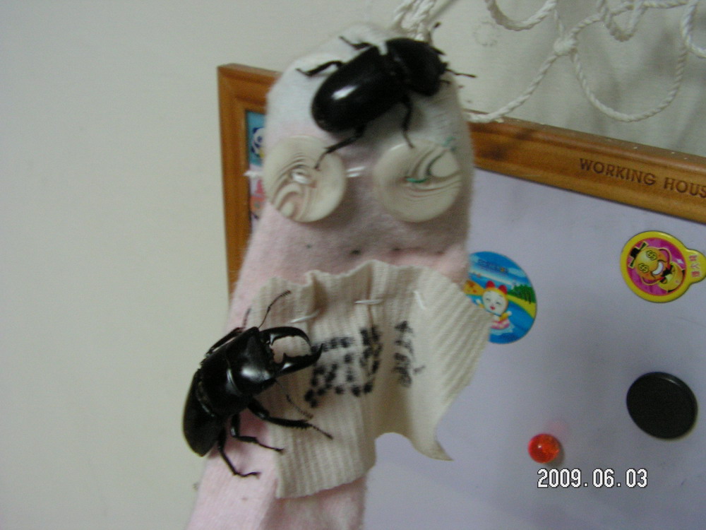 按此在新視窗瀏覽圖片