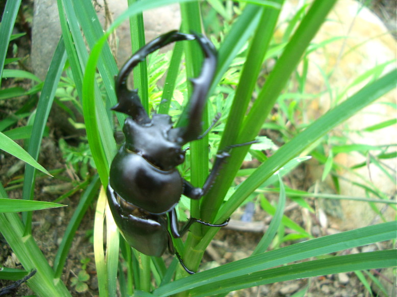 按此在新視窗瀏覽圖片