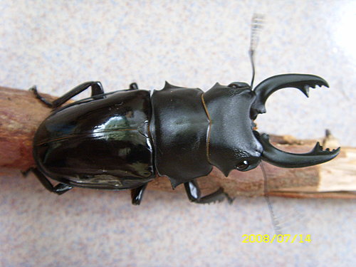 按此在新視窗瀏覽圖片