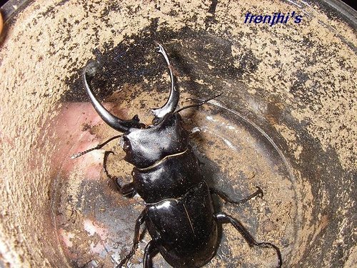 按此在新視窗瀏覽圖片