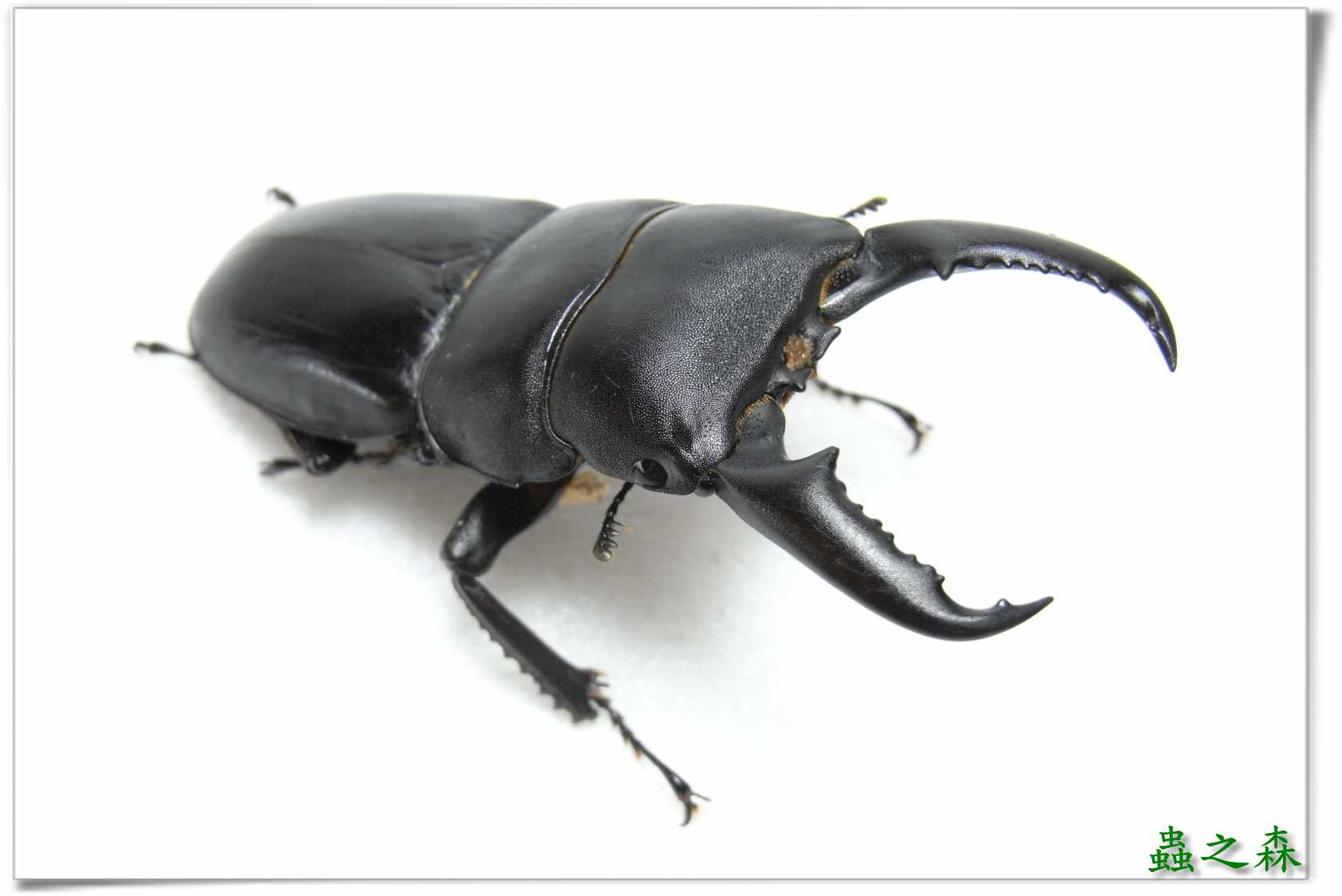 按此在新視窗瀏覽圖片